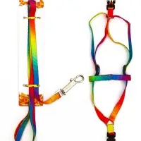Комплект &laquo;Радуга&raquo;, капрон, поводок 120&times;1 см, шлейка 24-34&times;1 см