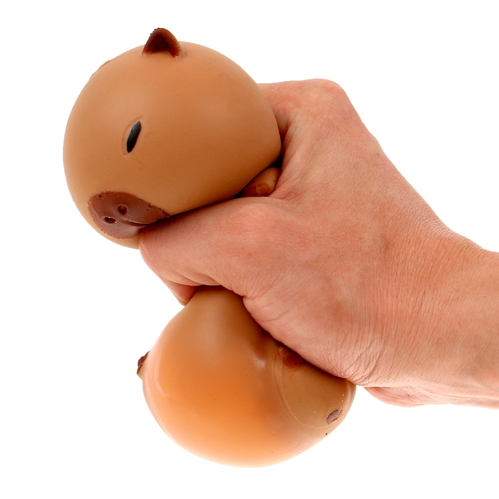 Мялка «Капибара» с пастой Мялка «Капибара» с пастой