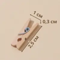 Прищепки Доляна, деревянные, 2.5&times;0.7 см, 24 шт.