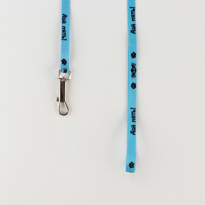 Комплект «Дай пять», шлейка 26-39 см, поводок 120х1 см Комплект «Дай пять», шлейка 26-39 см, поводок 120х1 см