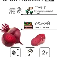 Семена Свекла столовая "Червона Кула", 2 г