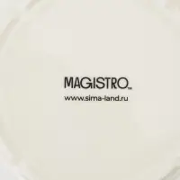 Заварочный чайник Magistro &laquo;Морской бриз&raquo;, 850 мл, фарфор, белый