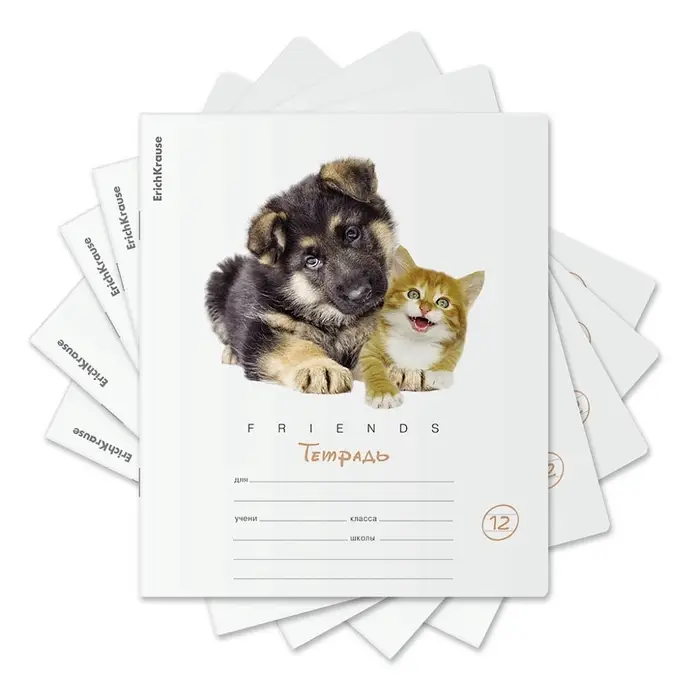 Тетрадь 12 листов в линейку, ErichKrause &laquo;Дружба&raquo;, обложка мелованный картон, блок офсет 100% белизна, МИКС (1 вид в спайке)