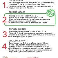Семена Капуста пекинская "Неженка", 0,1 г