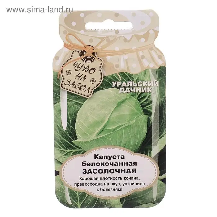Семена Капуста белокочанная  Семена Капуста белокочанная "Засолочная", 0,3 г