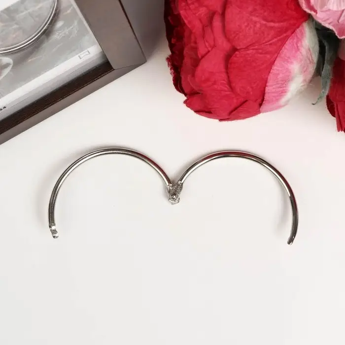 Кольцо для творчества (для фотоальбомов) Кольцо для творчества (для фотоальбомов) "Серебро" внутр. d= 5 см внешн. d=5,5 см