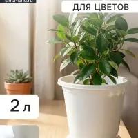 Горшок для цветов с поддоном &laquo;Альтернатива. Эконом&raquo;, 2 л, пластиковый, белый