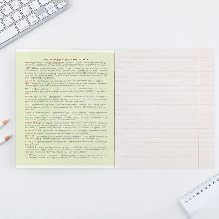 Тетрадь в линейку, предметная, 48 л.,на скрепке, А5 &laquo;МИНИМАЛИЗМ. Литература&raquo;