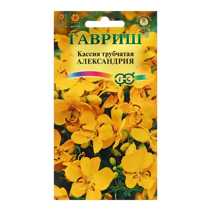 Семена Кассия Александрия, трубчатая, ц/п,  3 шт.