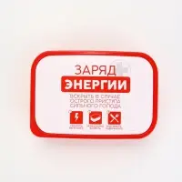 Ланч - бокс «Заряд энергии», 1200 мл