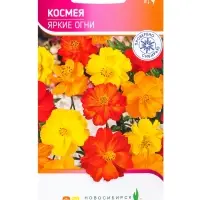Семена Космея &laquo;Яркие огни&raquo;, 0.5 г, &laquo;Агрос&raquo;