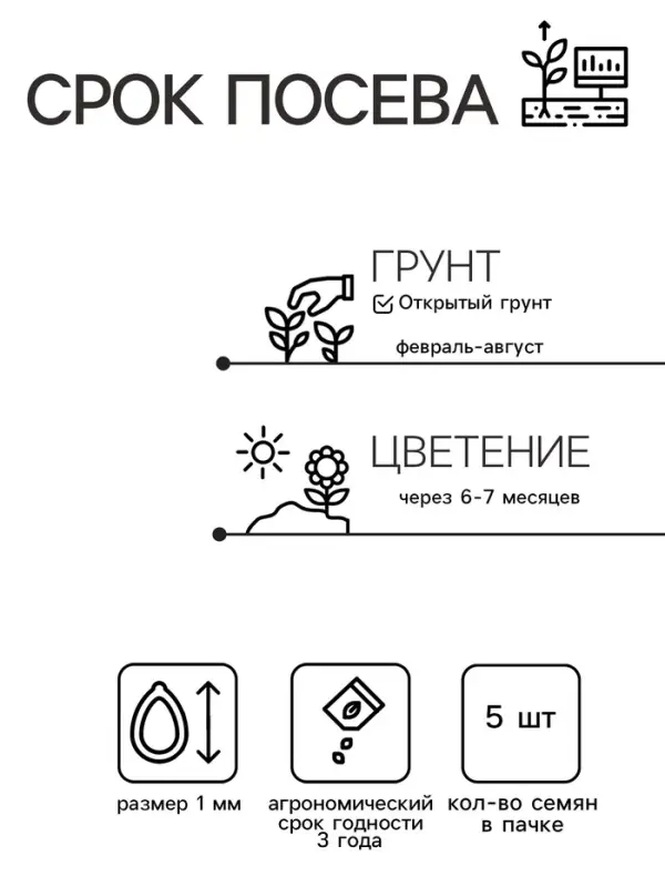 Семена цветов Эустома Эхо Йеллоу желтая, драже, 5 шт