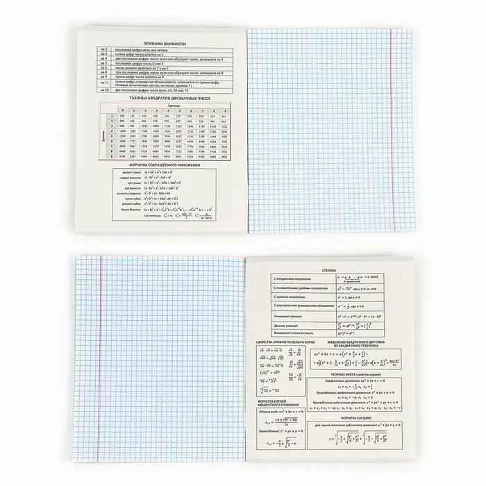 Тетрадь в клетку, предметная, 36 л.,на скрепке, блок №1&laquo;Россия. Алгебра&raquo;