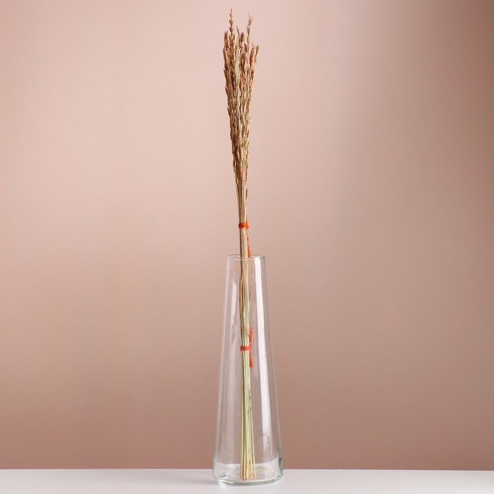 Набор сухоцветов Набор сухоцветов "Райграс", банч 21 шт, длина 60 (+/- 6 см), оранжевый