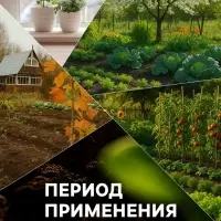 Органическое удобрение &laquo;Биогумус&raquo; Рецепты дедушки Никиты, концентрат, канистра 3 л