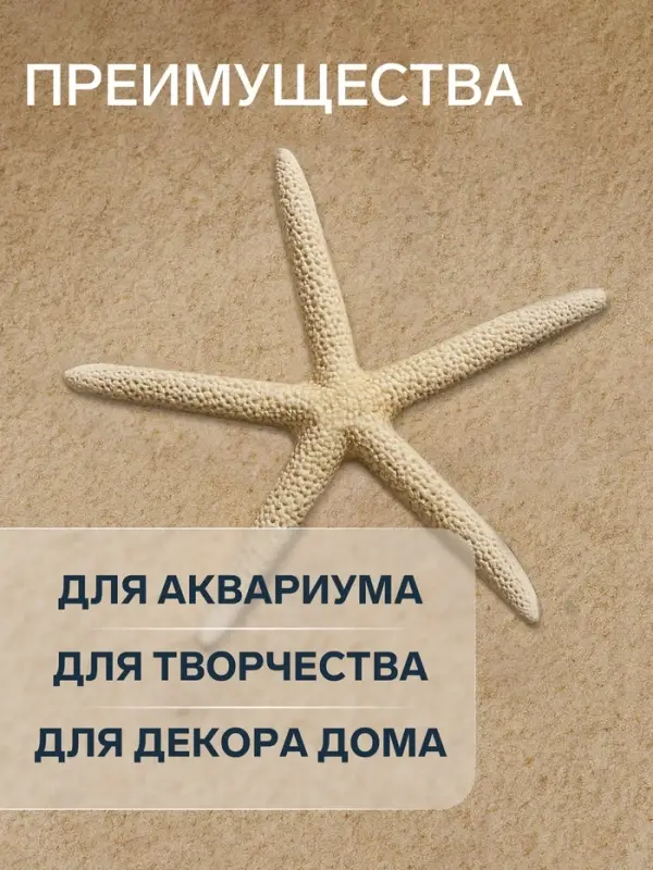Морская звезда декоративная, 10-16 см