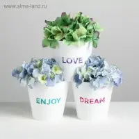 Набор кашпо 3 в 1 Dream, enjoy, love, тиснение, 0,8 л, 11 х 12 см Набор кашпо 3 в 1 Dream, enjoy, love, тиснение, 0,8 л, 11 х 12 см