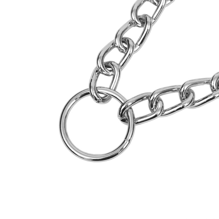 Ошейник - полуудавка металлический двухрядный, 60 см, толщина проволоки 2,5 мм Ошейник - полуудавка металлический двухрядный, 60 см, толщина проволоки 2,5 мм