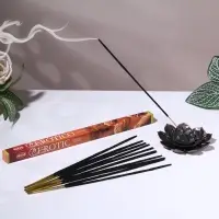 Благовония HEM "Erotic. Эротика", 8 палочек в упаковке, четырёхгранник Благовония HEM "Erotic. Эротика", 8 палочек в упаковке, четырёхгранник