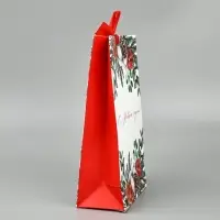 Набор новогодних пакетов &laquo;Новогодняя пора&raquo;