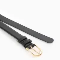 Ремень женский, 110&times;2.8 см, классическая пряжка металл, золотистая, чёрный