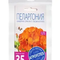 Набор семян комнатных Пеларгония &laquo; Маверик Оранж&raquo;, 3 шт., &laquo;Мой выбор&raquo;