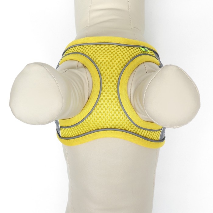 Комплект с мягкой шлейкой, быстросъемный, M, поводок 150 х 1,5 см, ОШ 38-44 см, ОГ 44-50 см, жёлтый Комплект с мягкой шлейкой, быстросъемный, M, поводок 150 х 1,5 см, ОШ 38-44 см, ОГ 44-50 см, жёлтый