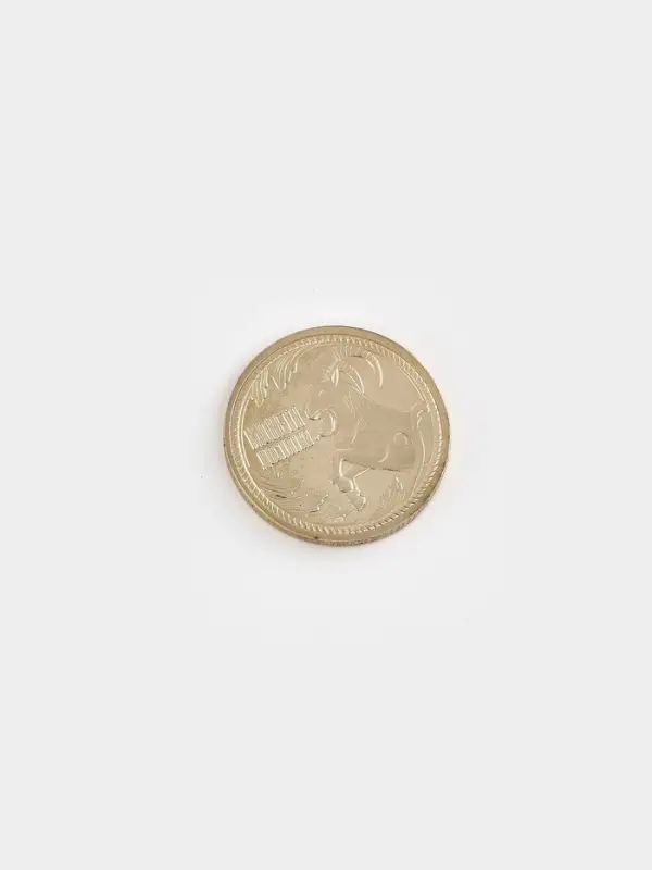 Монета металл &laquo;Монета богатства&raquo;, d=2.2 см
