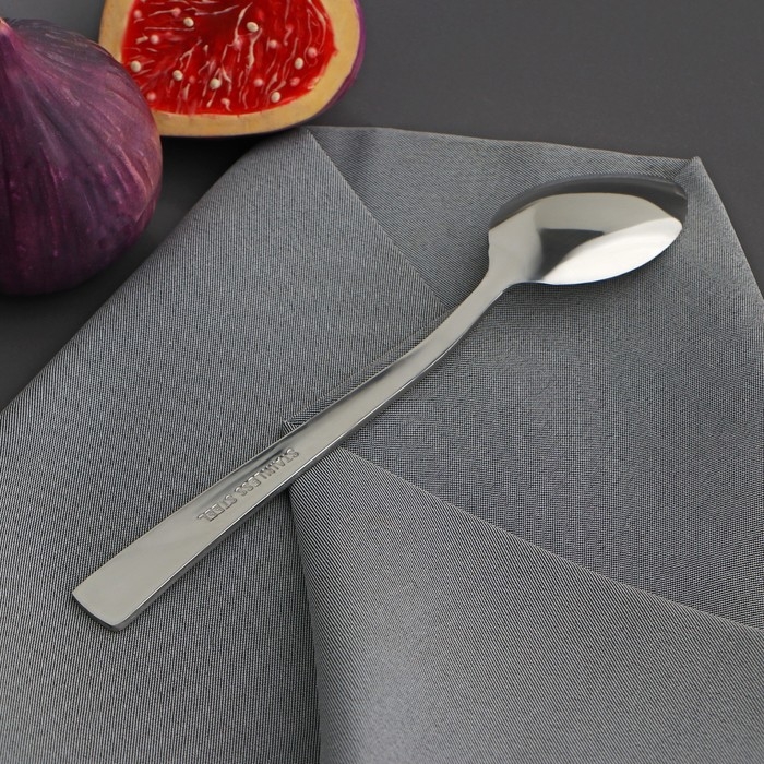 Ложка чайная из нержавеющей стали «Хоккайдо», длина 15 см, толщина 1 мм Ложка чайная из нержавеющей стали «Хоккайдо», длина 15 см, толщина 1 мм