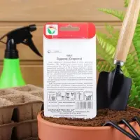 Семена Томат &laquo;Пудовик&raquo; среднеранний, детерминантный, высокорослый 20 шт., &laquo;Сибирский сад&raquo;