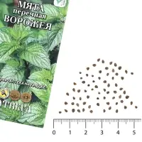 Семена Мята перечная &laquo;Ворожея&raquo;, 0.03 г, &laquo;Артикул&raquo;