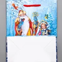 Пакет подарочный новогодний ламинированный, «Дед Мороз и Снегурочка» , 18×10×22.3 см Пакет подарочный новогодний ламинированный, «Дед Мороз и Снегурочка» , 18×10×22.3 см