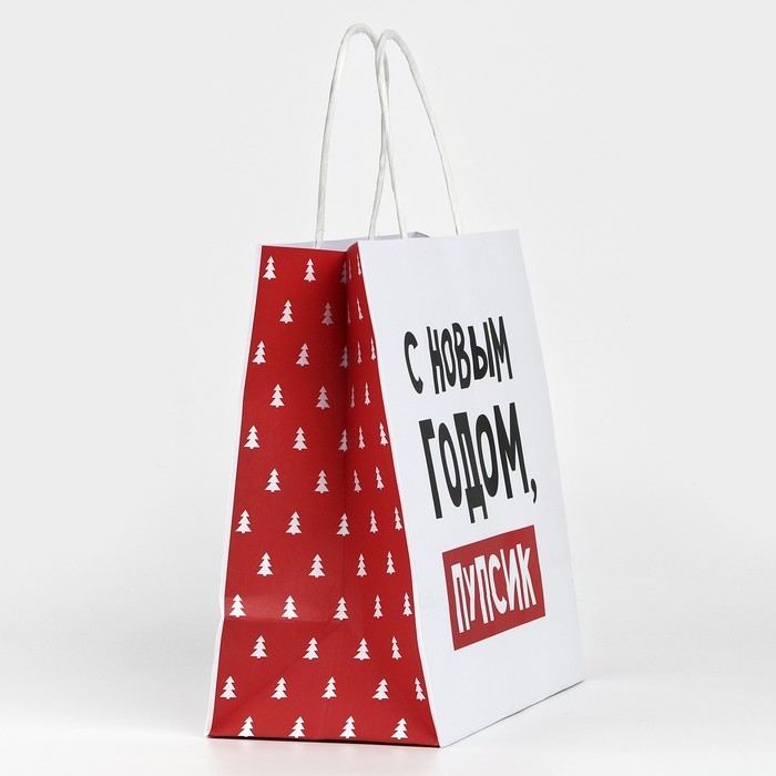 Пакет подарочный новогодний «С Новым годом, пупсик», 22 х 22 х 11 см , Новый год