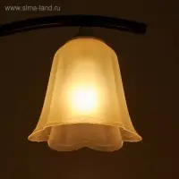 Плафон универсальный «Цветок» Е14/Е27 прозрачный 14×14×13 см Плафон универсальный «Цветок» Е14/Е27 прозрачный 14×14×13 см