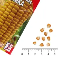 Семена Кукуруза сахарная &laquo;Лакомка&raquo;, 5 г, &laquo;Сембат&raquo;