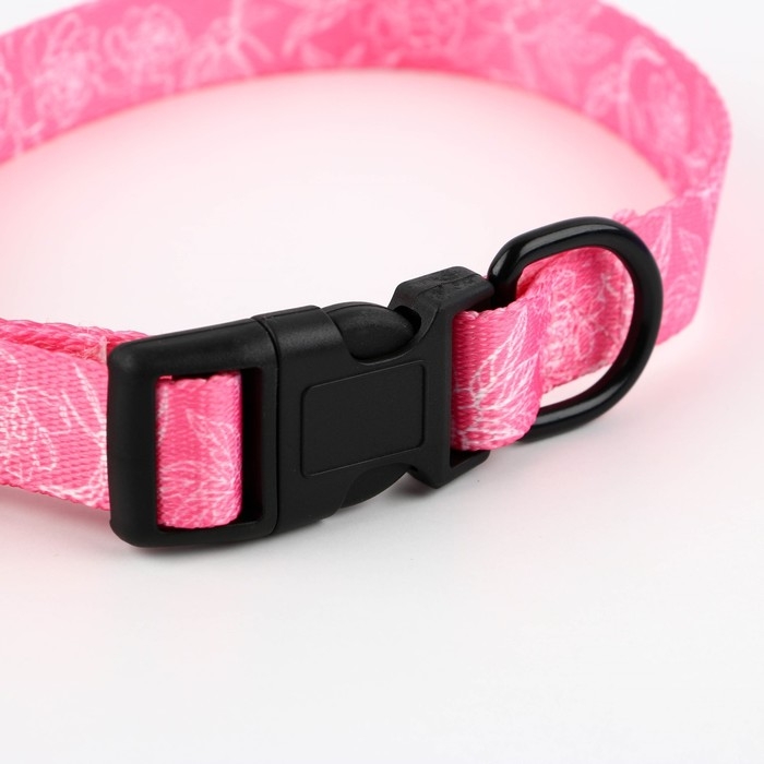 Ошейник My littlle princess, застёжка - фастекс, 2 см 25-40 см Ошейник My littlle princess, застёжка - фастекс, 2 см 25-40 см