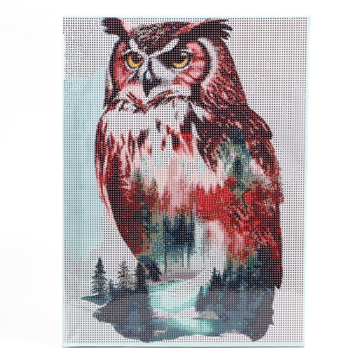 Алмазная мозаика с полным заполнением на холсте с подрамником «Филин», 30 х 40 см