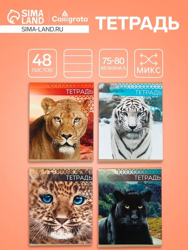 Тетрадь 48 листов в линейку Calligrata &laquo;Дикие кошки&raquo;, обложка мелованная бумага, блок №2, МИКС