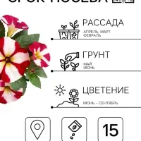 Семена цветов Петуния крупноцветковая &laquo;Танго&raquo; красная с белой звездой, 15 шт.