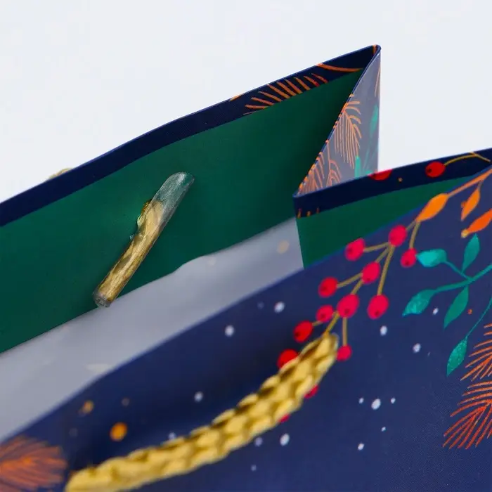 Пакет подарочный «Зимняя ночь», 11.5×14.5×6.5 см Пакет подарочный «Зимняя ночь», 11.5×14.5×6.5 см