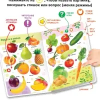 Говорящая книга &laquo;Мир вокруг меня&raquo;
