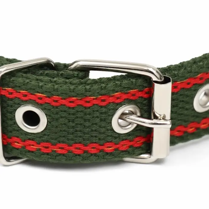 Брезентовый ошейник, 58&times;2.5 см, безразмерный, двухслойный, цвет хаки