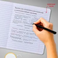 Комплект тетрадей из 10 штук, 18 листов в линию Calligrata "Домашние животные", обложка мелованный картон, ВД-лак, блок офсет, 5 видов по 2 штуки