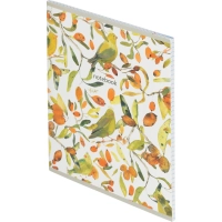 Бизнес-тетрадь Принты А5 48л, клетка, обл. мел. картон, скрепка,птицы