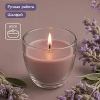 Свеча ароматическая в стакане SCENTED CANDLE, 100 г, сидр, шалфей