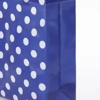 Сумка Горох, 26*11*32, отдел без молнии,  синий