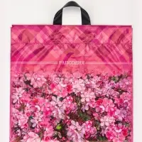 Пакет &laquo;Рапсодия&raquo;, полиэтиленовый с петлевой ручкой, 42&times;45 см, 45 мкм