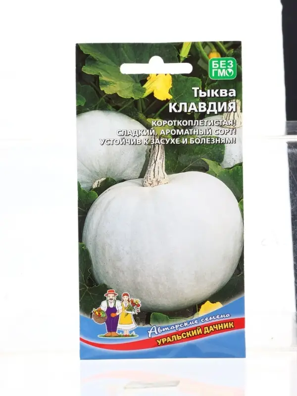 Семена Тыква Клавдия (УД) Е/П , Е/П,  6 шт.