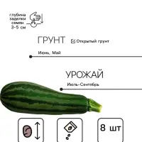 Семена Кабачок белоплодный &laquo;Грибовские 37&raquo;, 8 шт., &laquo;Аэлита&raquo;