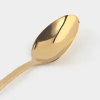 Ложка чайная Magistro &laquo;Олин GOLD&raquo;, длина 16 см, на подвесе, нержавеющая сталь, золотистая